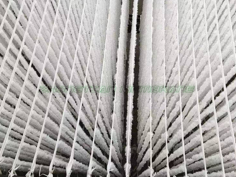 辨式生物填料現(xiàn)場（一）