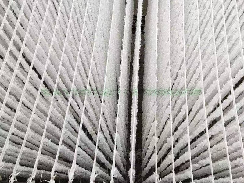 辨式生物填料現(xiàn)場(chǎng)（一）