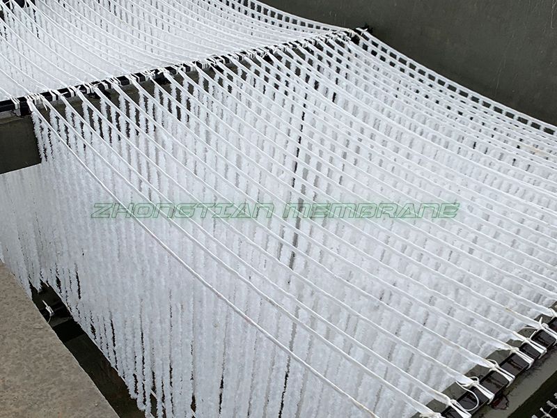 辨式生物填料現(xiàn)場(chǎng)（三）