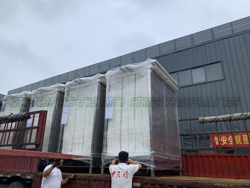 盛夏七月，不抵吾心！